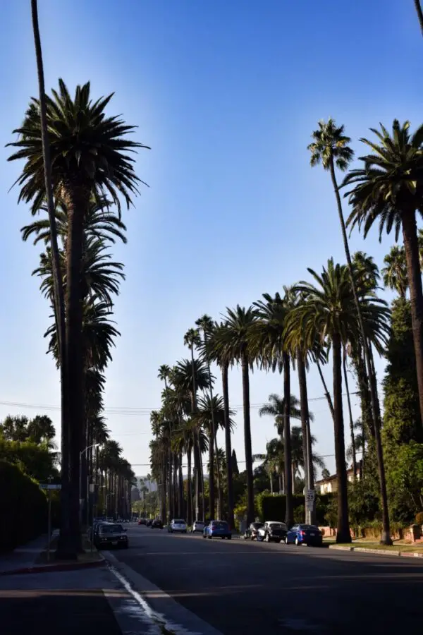 A 2 day LA Itinerary - An honest guide to visiting on a short trip ...