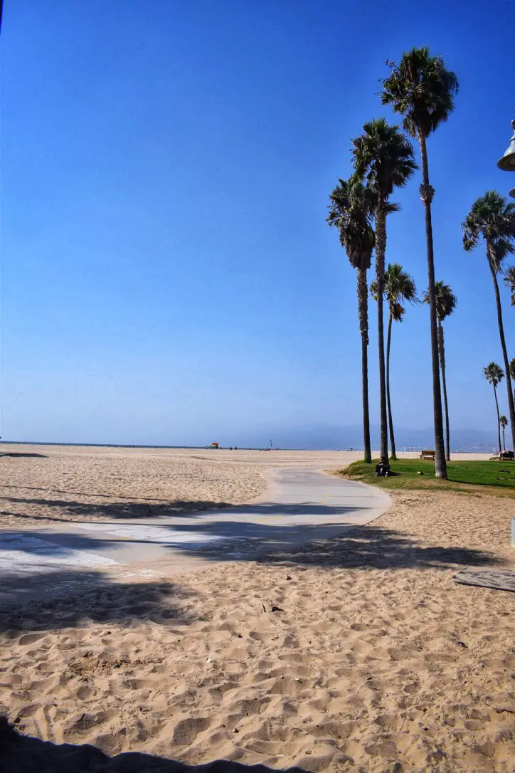 19 Of The Best Things To Do In Venice Beach California That You Won't 